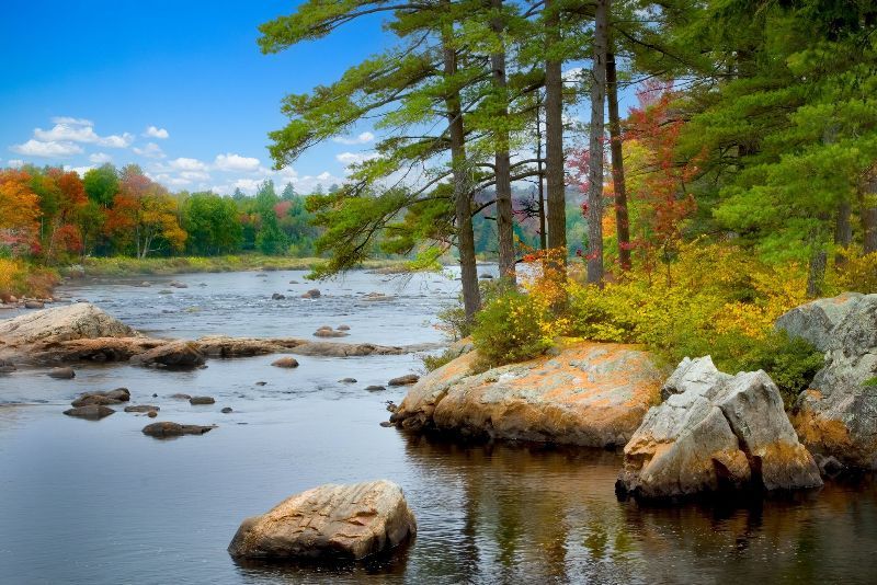 A river surrounded by trees and rocks in the middle of a forest.