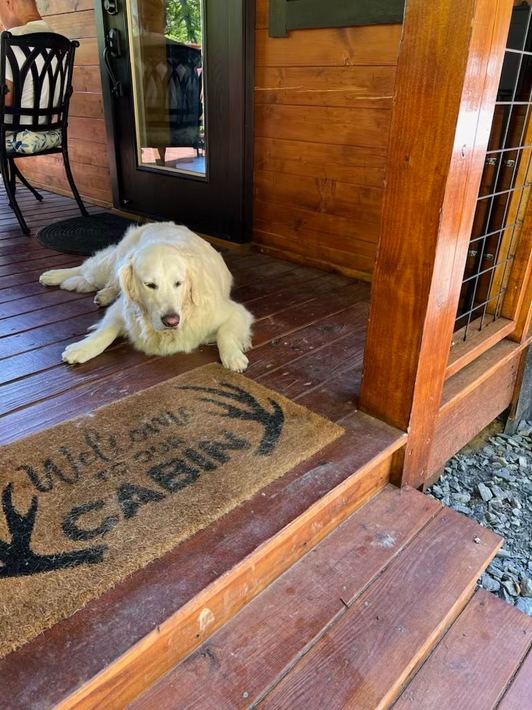 A woman is petting her dog while wearing a hat.