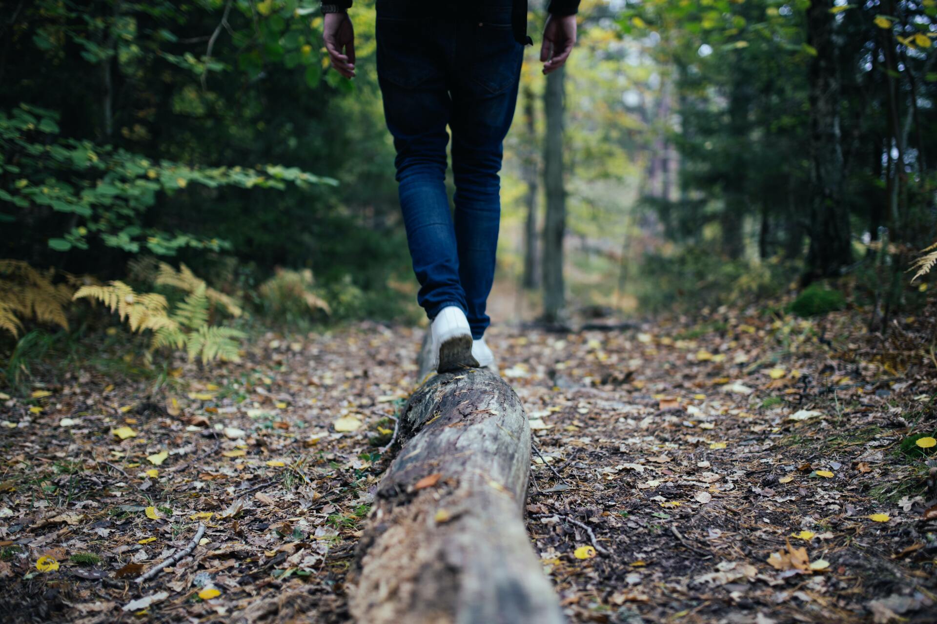 a person is walking on a log in the woods .