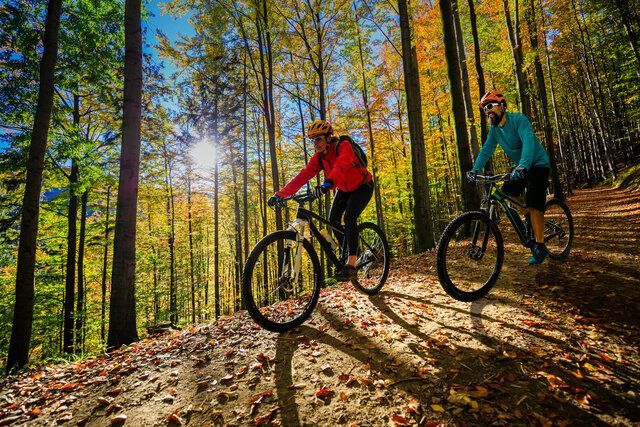 Two people mountain biking on a forest trail in autumn, with fall foliage and sunlight.
