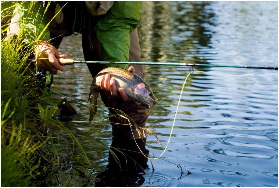 A person is fishing in a river and holding a fish in their hand.