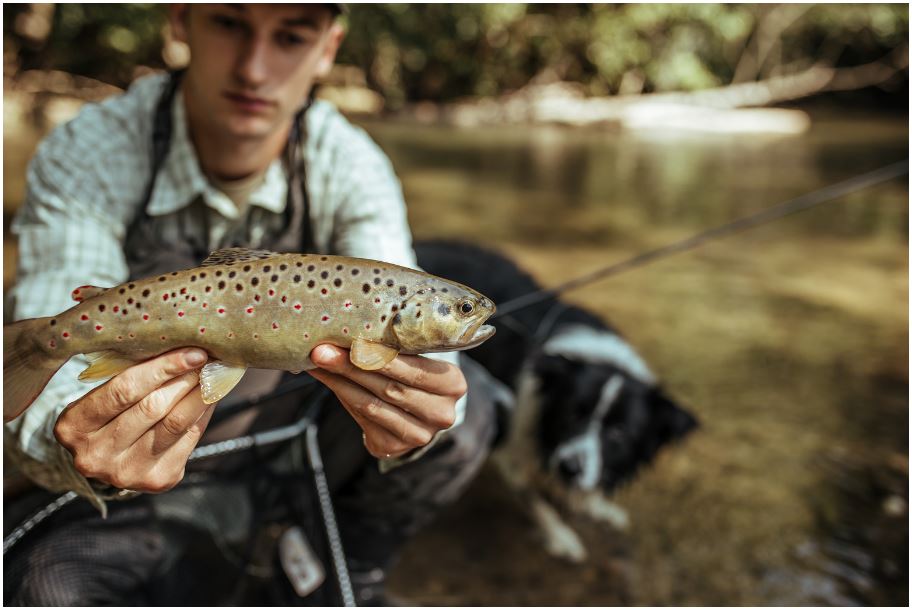 A man is holding a brown trout in his hands next to a dog.