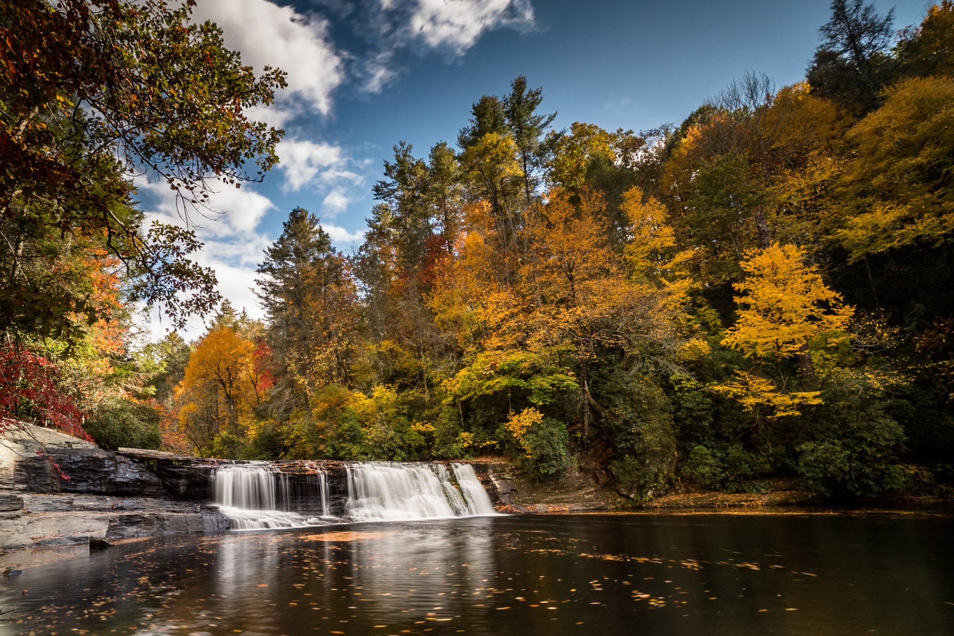 There is a waterfall in the middle of a forest surrounded by trees.