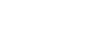 meraki logo