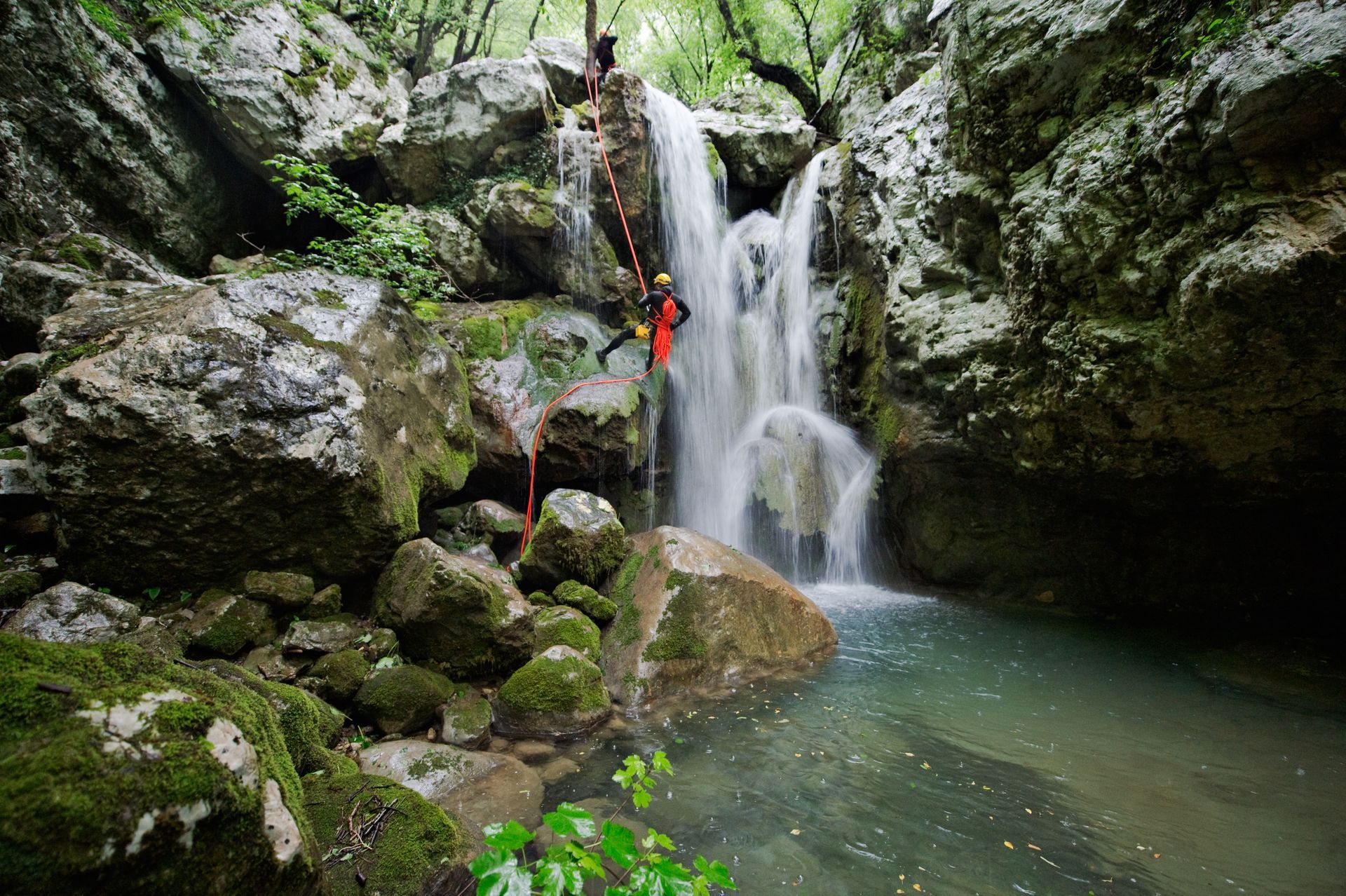 A man and a woman are walking through a forest.