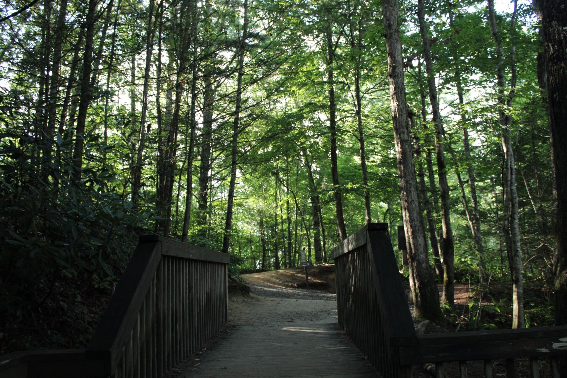 a wooden bridge in the middle of a forest