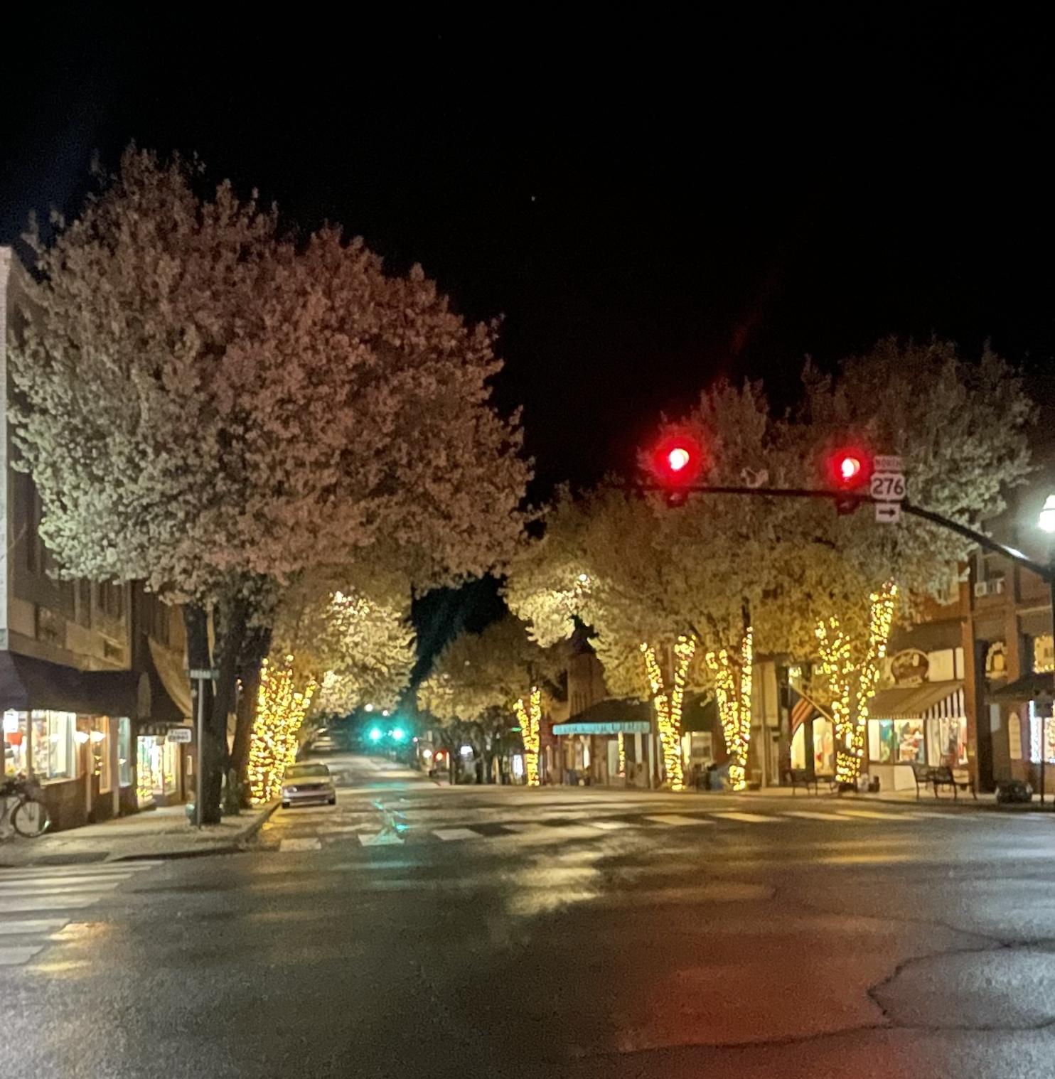 A city street at night with trees decorated with christmas lights