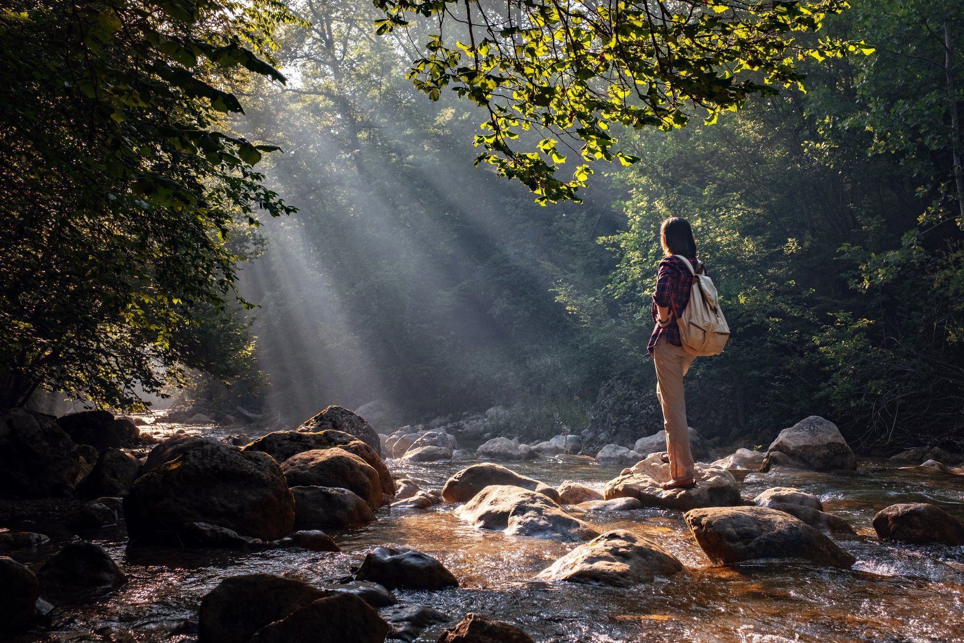 a person is standing on a rock in a river looking at the sun shining through the trees .