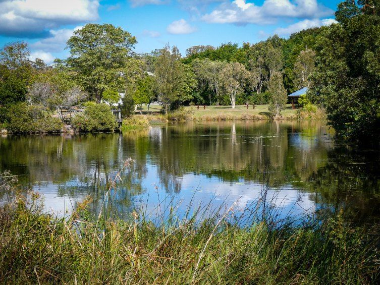 A Large Body of Water Surrounded by Trees on a Sunny Day — Action Air N Elec in Maroochydore, QLD