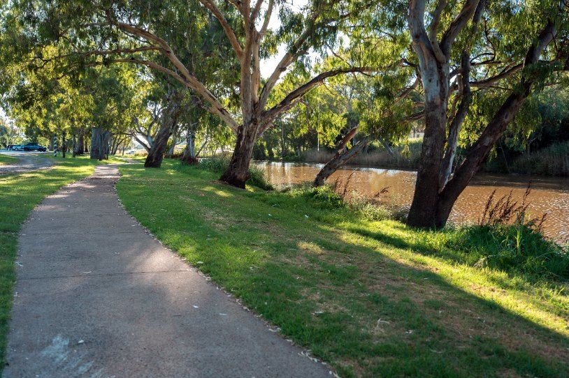 A Path Leading to a River Surrounded by Trees and Grass — Action Air N Elec in Palmwoods, QLD