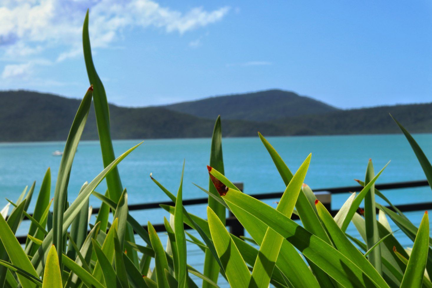 A Blurry Picture of a Body of Water With Mountains in the Background — Action Air N Elec in Nambour, QLD