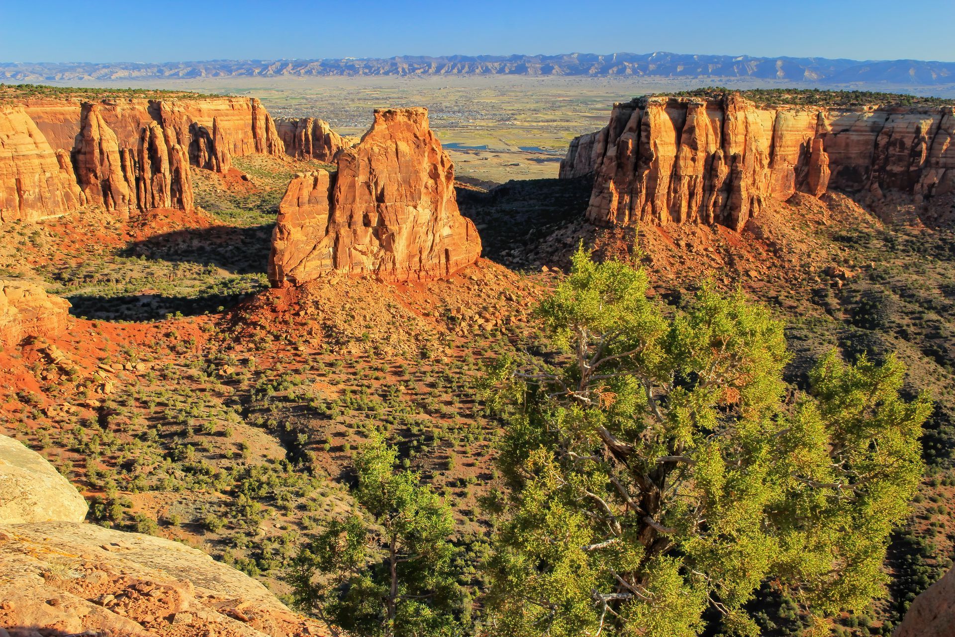 A view of a canyon filled with trees and rocks.