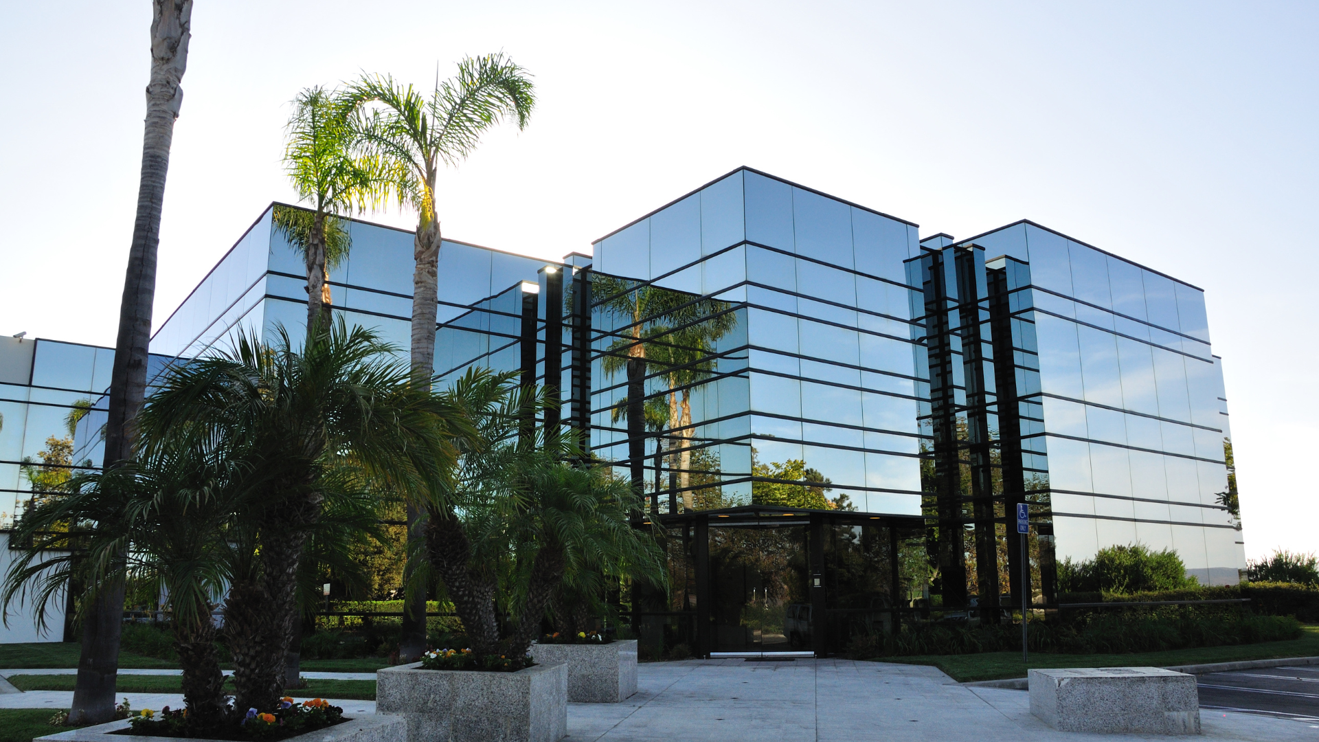 Modern glass-walled office building with palm trees in front; blue sky reflections.