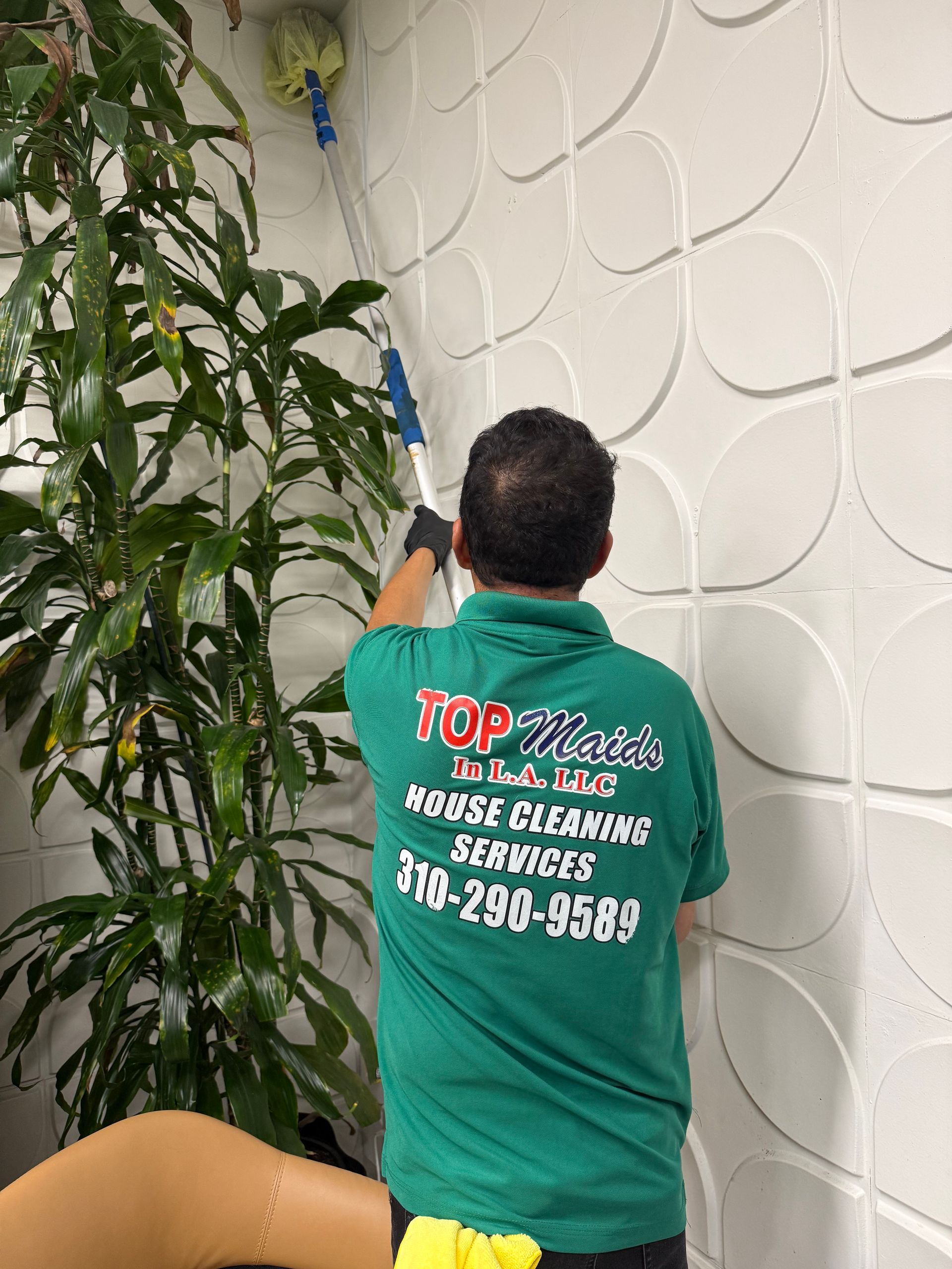 Person in green shirt cleaning textured white wall with a cleaning tool, next to a large plant.
