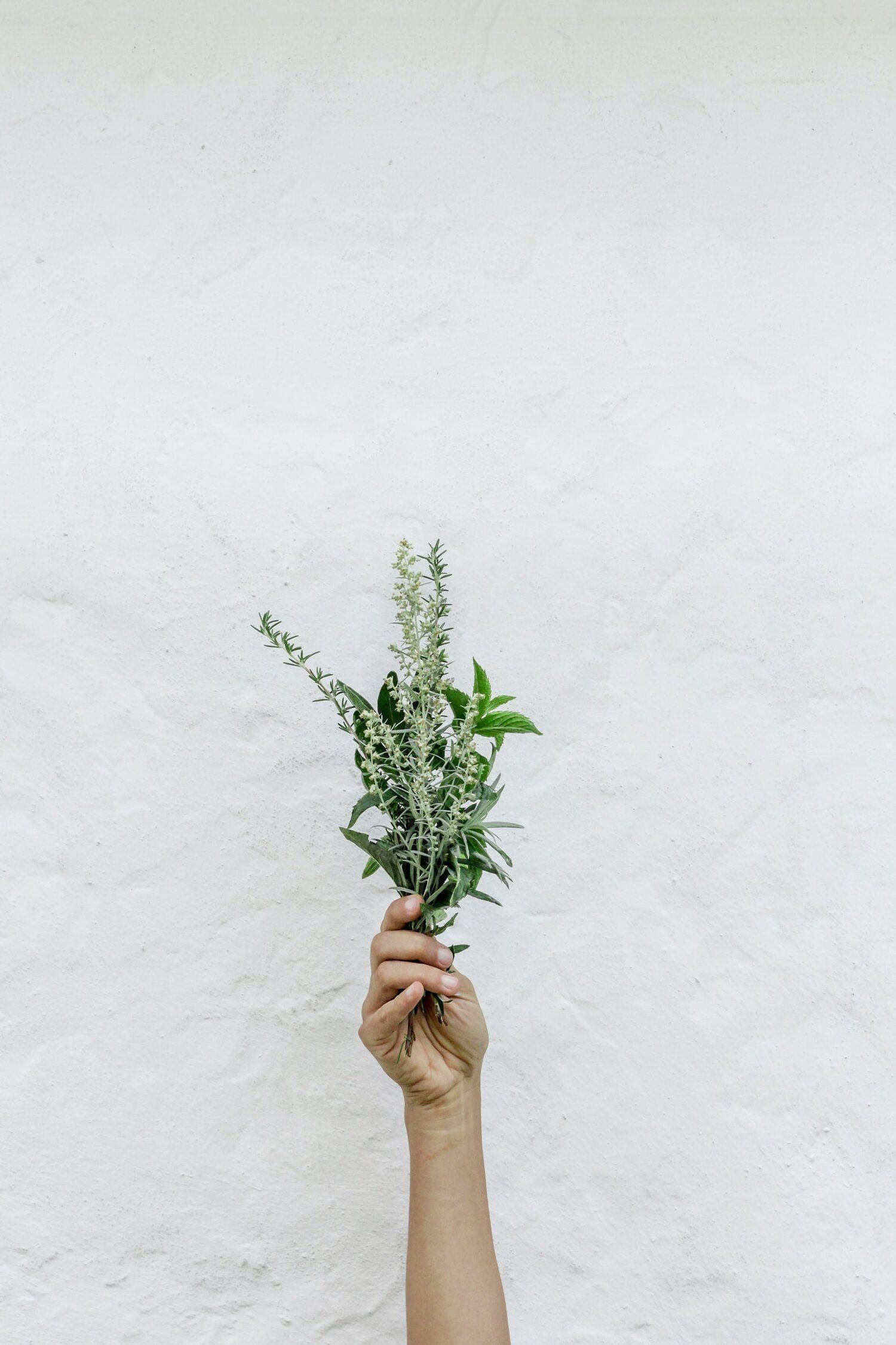 A person is holding a bouquet of herbs in their hand.