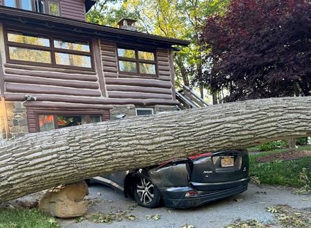 A car is stuck under a tree in front of a house.