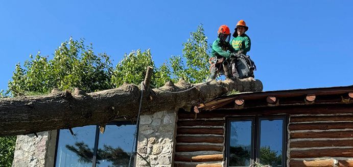Two men are standing on top of a log cabin.