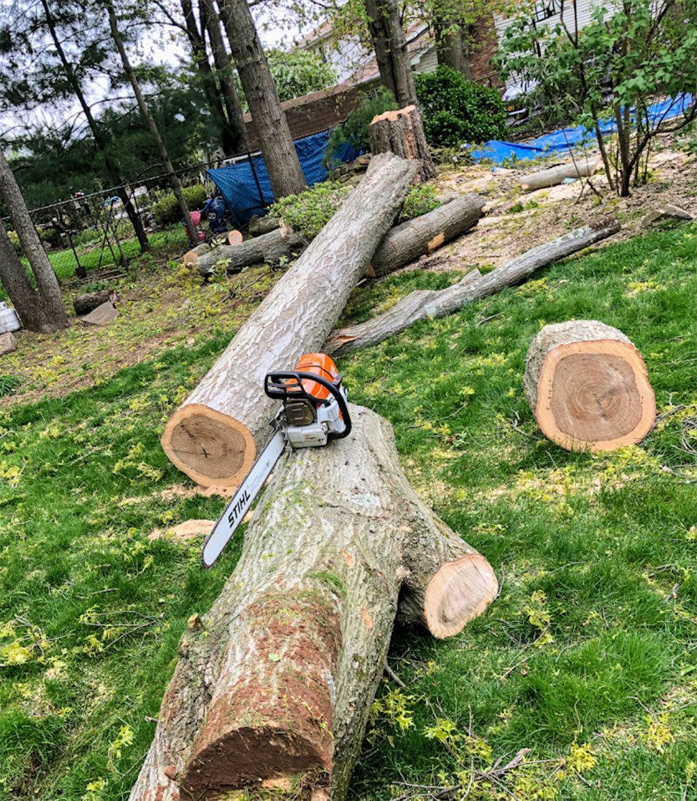 A chainsaw is sitting on top of a large log in the grass.