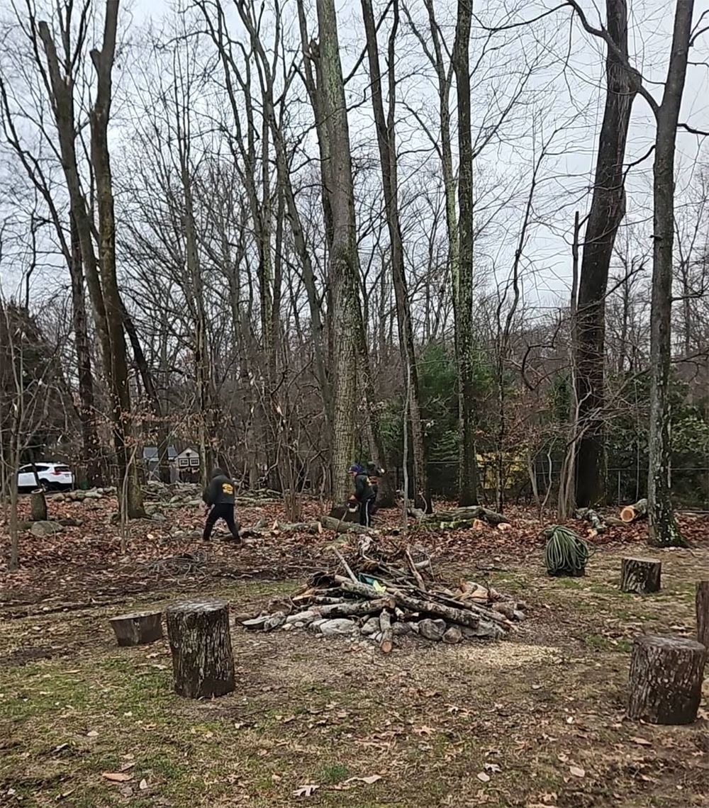 A group of people are standing around a fire pit in the middle of a forest.