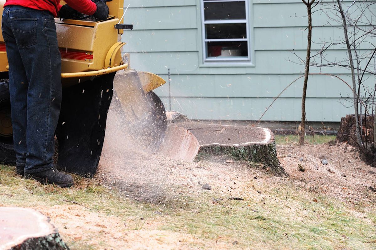 A man is using a machine to remove a tree stump in front of a house.