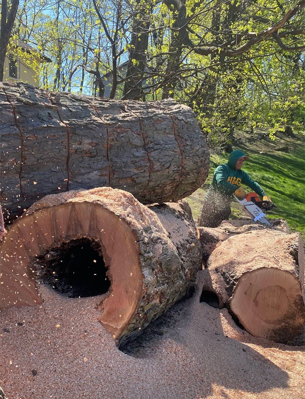 A person is sitting on top of a pile of logs.