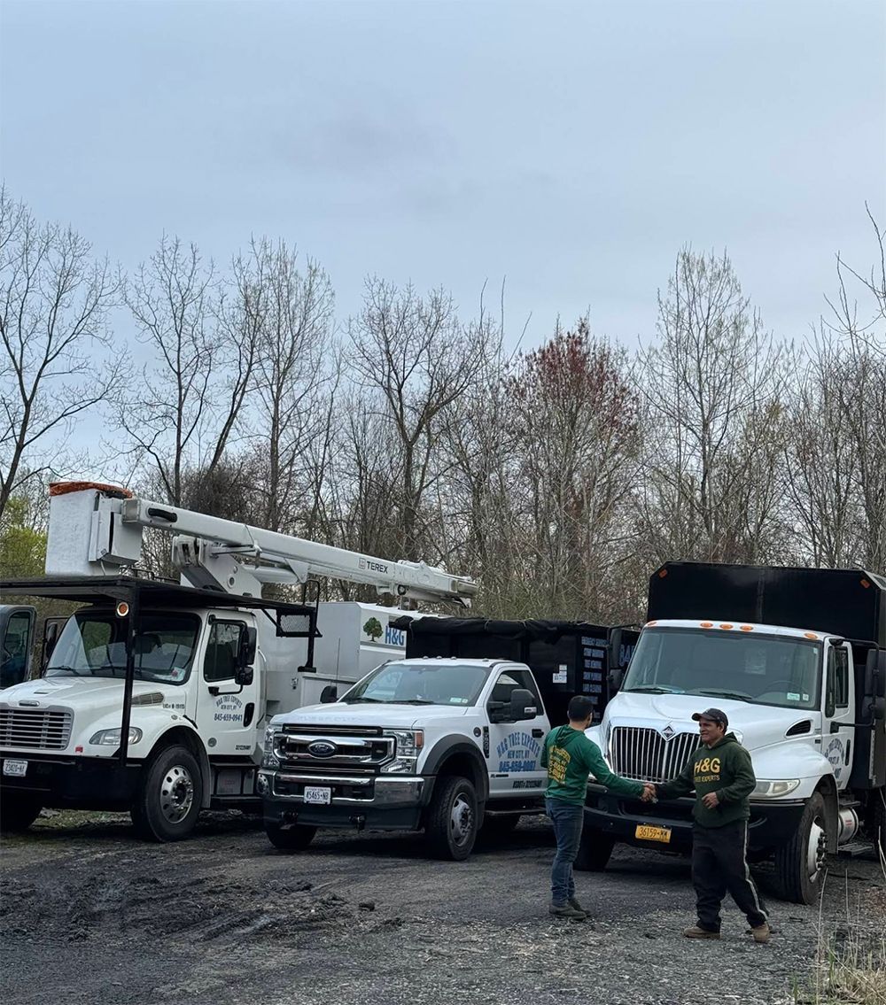 A group of trucks are parked next to each other in a parking lot.