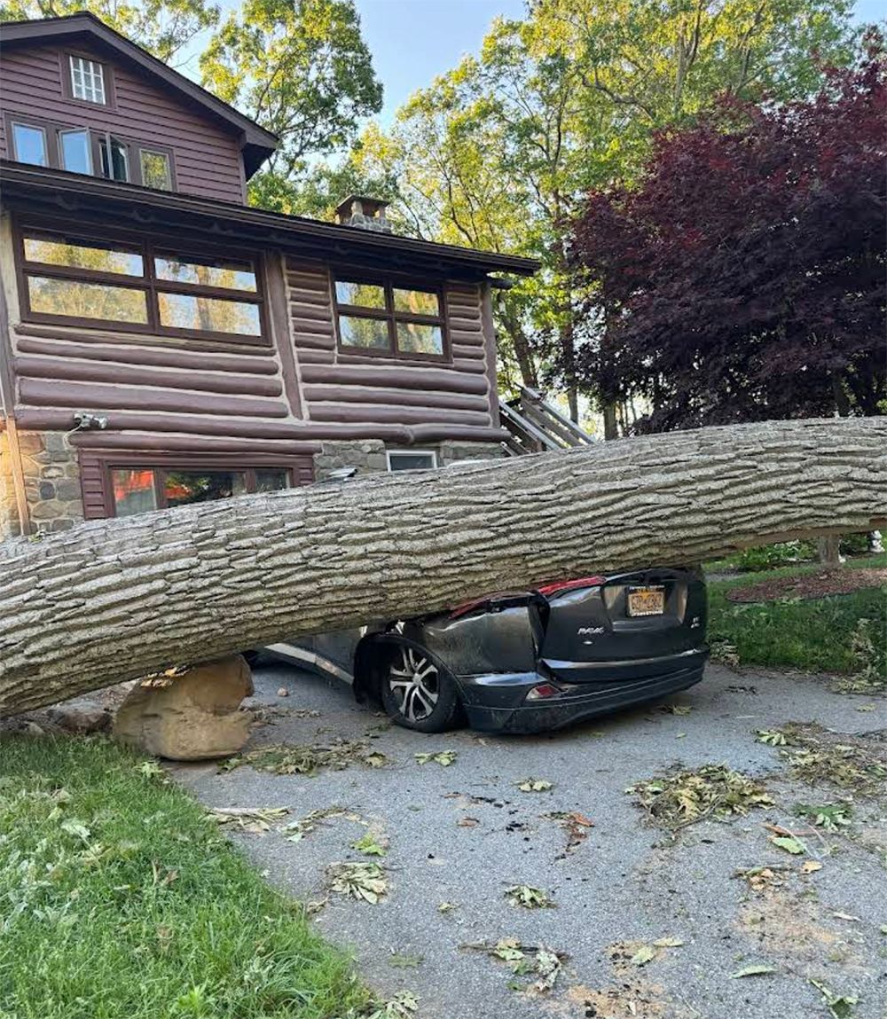 A car is sitting under a fallen tree in front of a house.