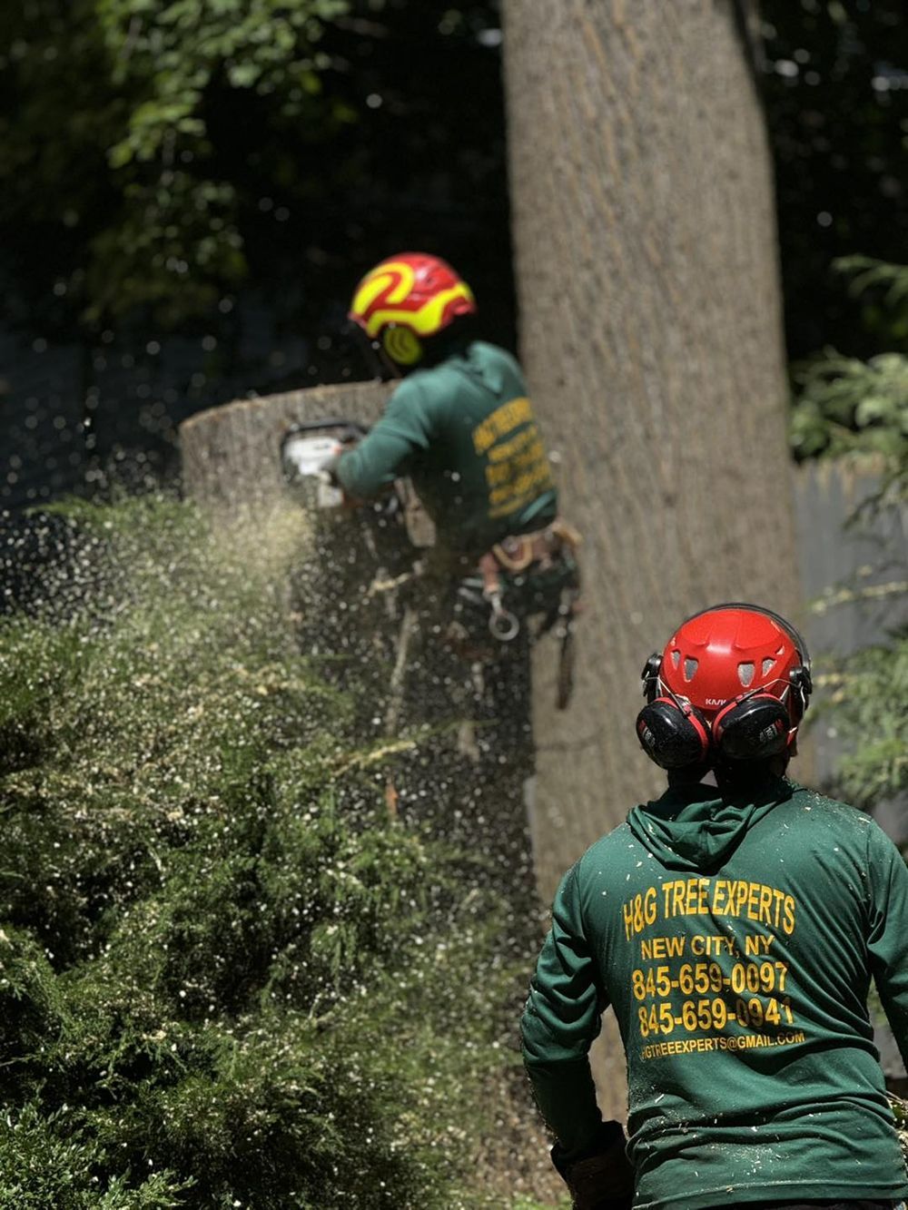 A person wearing a green shirt that says for the experts