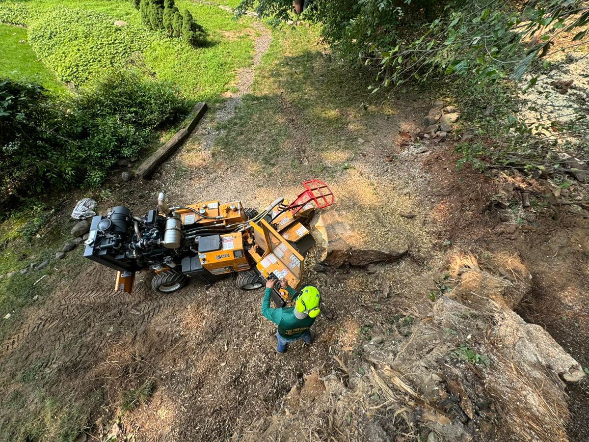 A man is kneeling on a rock next to a pile of wood.