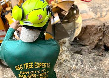 A man wearing a helmet and ear muffs is working on a tree stump.