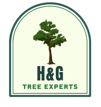 A logo for h & g tree experts with a tree in the center.