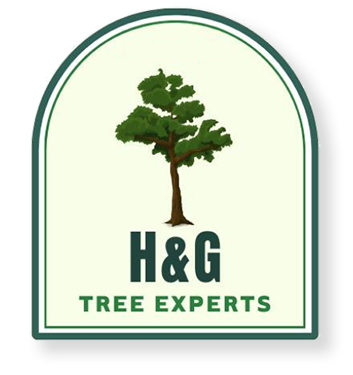 A logo for h & g tree experts with a tree on it