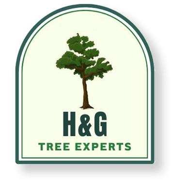 A logo for h & g tree experts with a tree on it