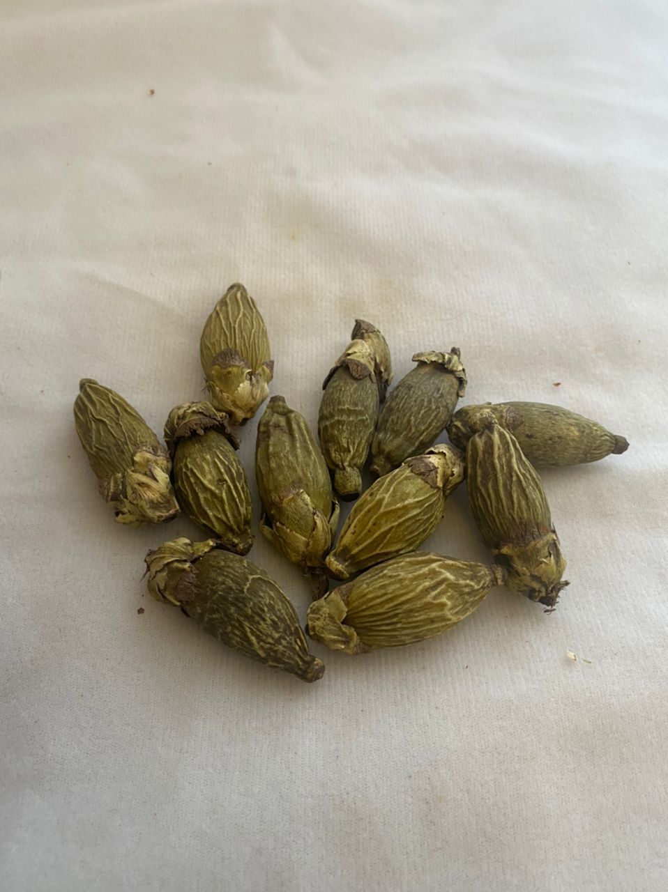 A bunch of seeds are sitting on a white surface.