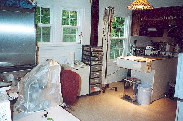 Veterinary clinic - Veterinary Hospital in Issaquah, WA