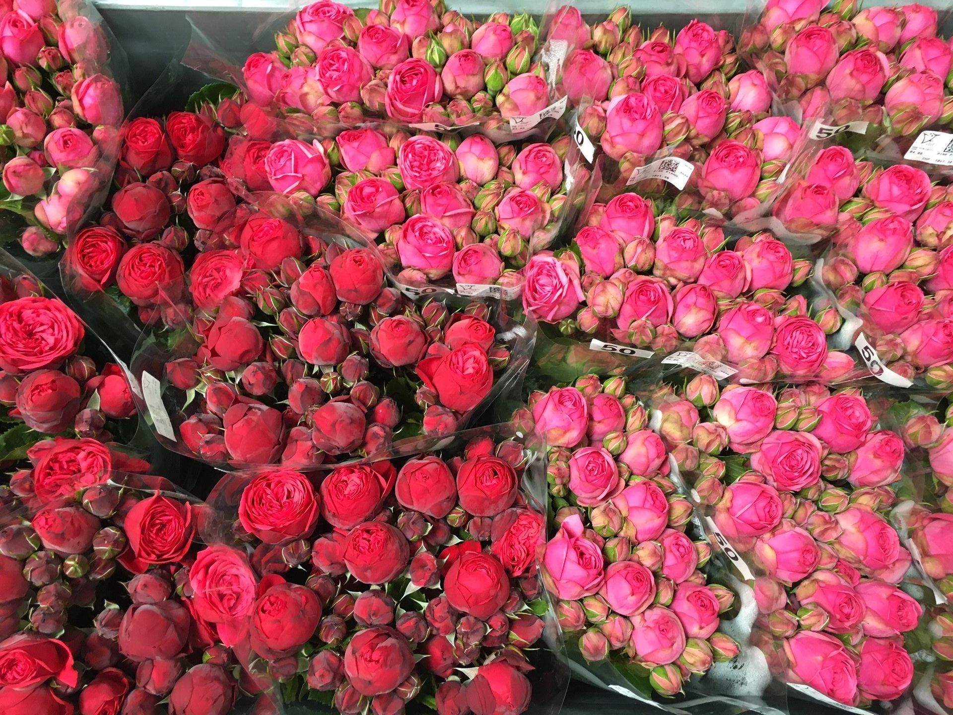 Un mazzo di fiori rosa è disposto uno sopra l'altro su un tavolo.