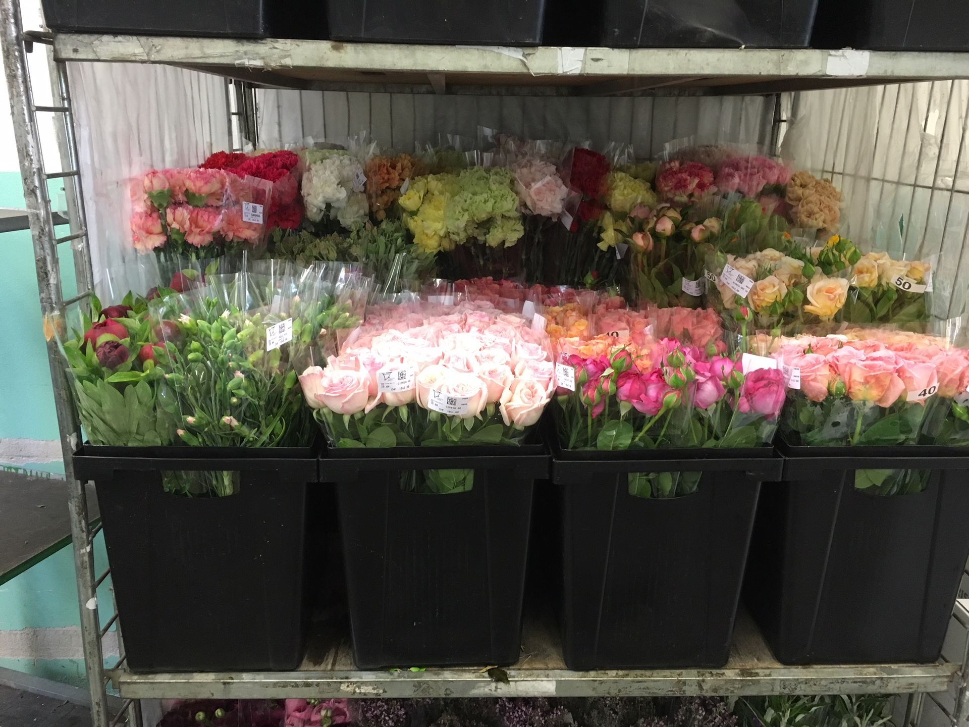 Uno scaffale pieno di tanti tipi diversi di fiori.