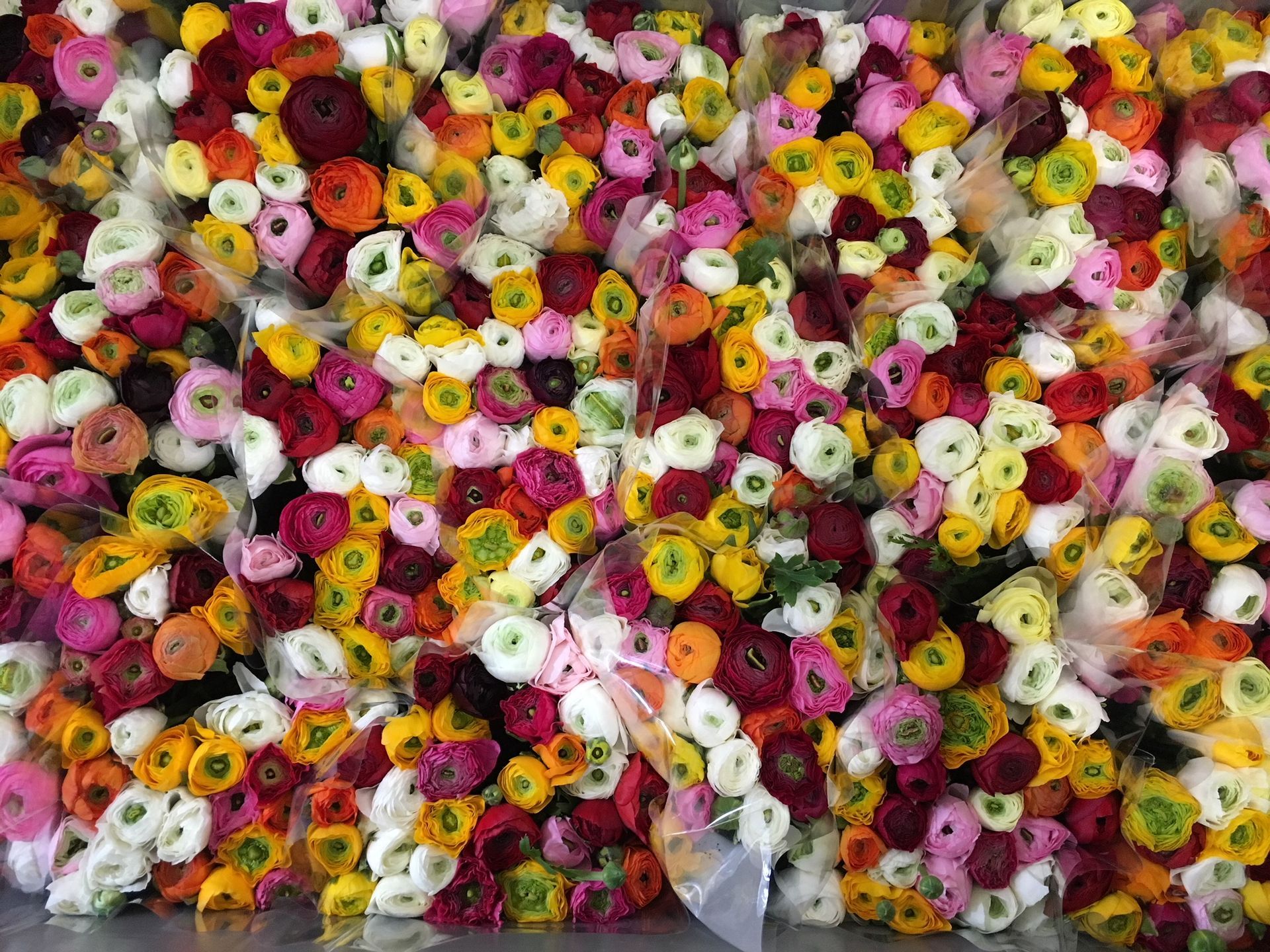 Un mazzo di fiori colorati è disposto uno sopra l'altro su un tavolo.