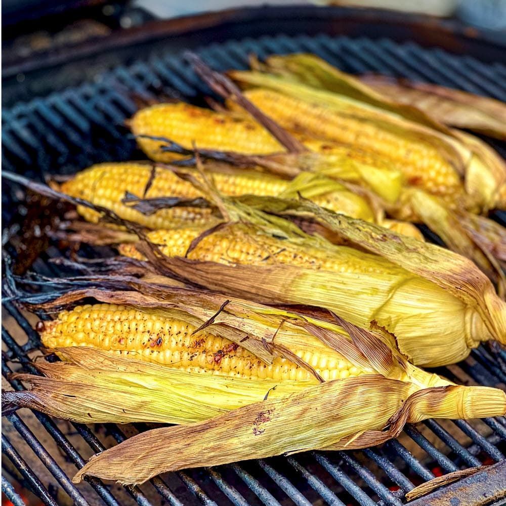 Grilled corn in husks ready to eat or freeze