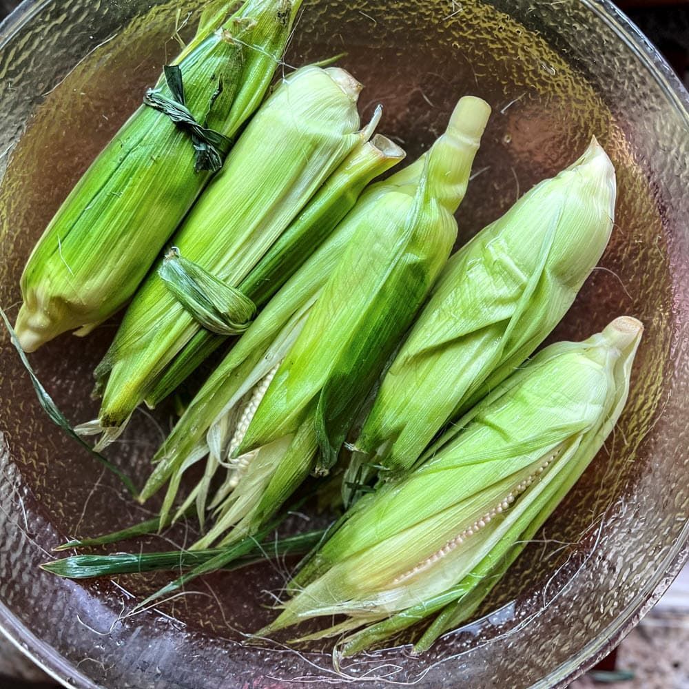 Corn in husks soaking in a bowl of water