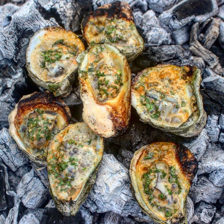 Oysters roasting over live coals