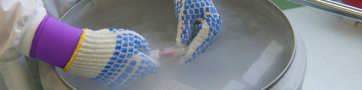 freezit cryogenics liquid nitrogen container
