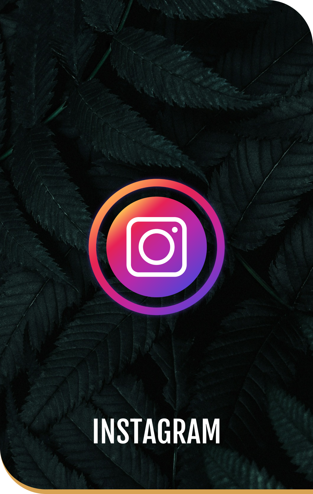 A picture of an instagram logo on a black background.