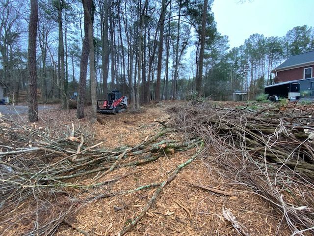 Open Field with Piled of Dry Woods— Loganville, GA — Georgia's Best Clearing & Grading