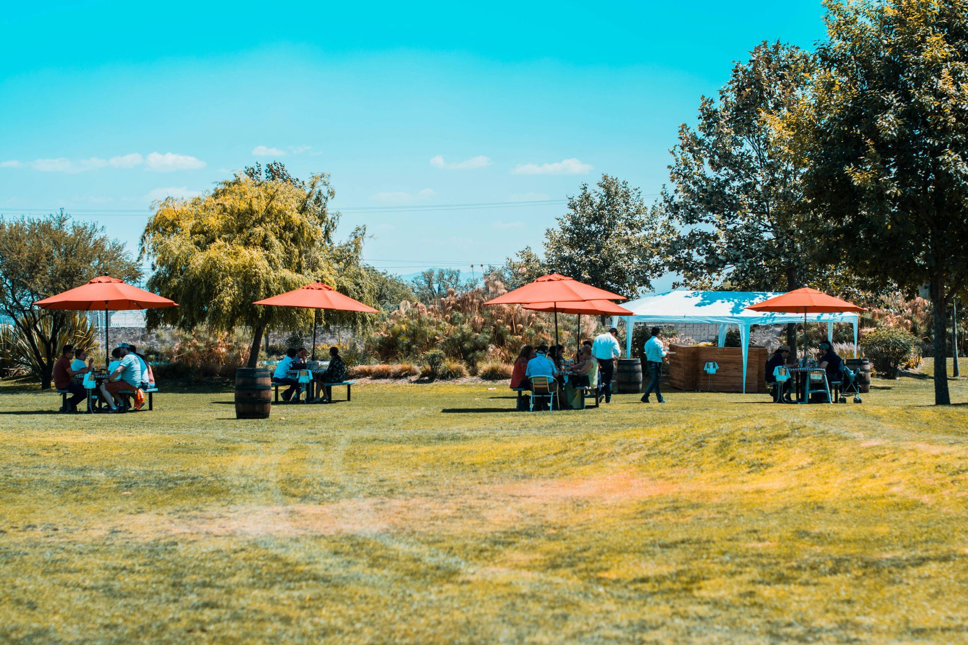 People sit at tables under red umbrellas in a park, near trees and a white tent, on a sunny day.