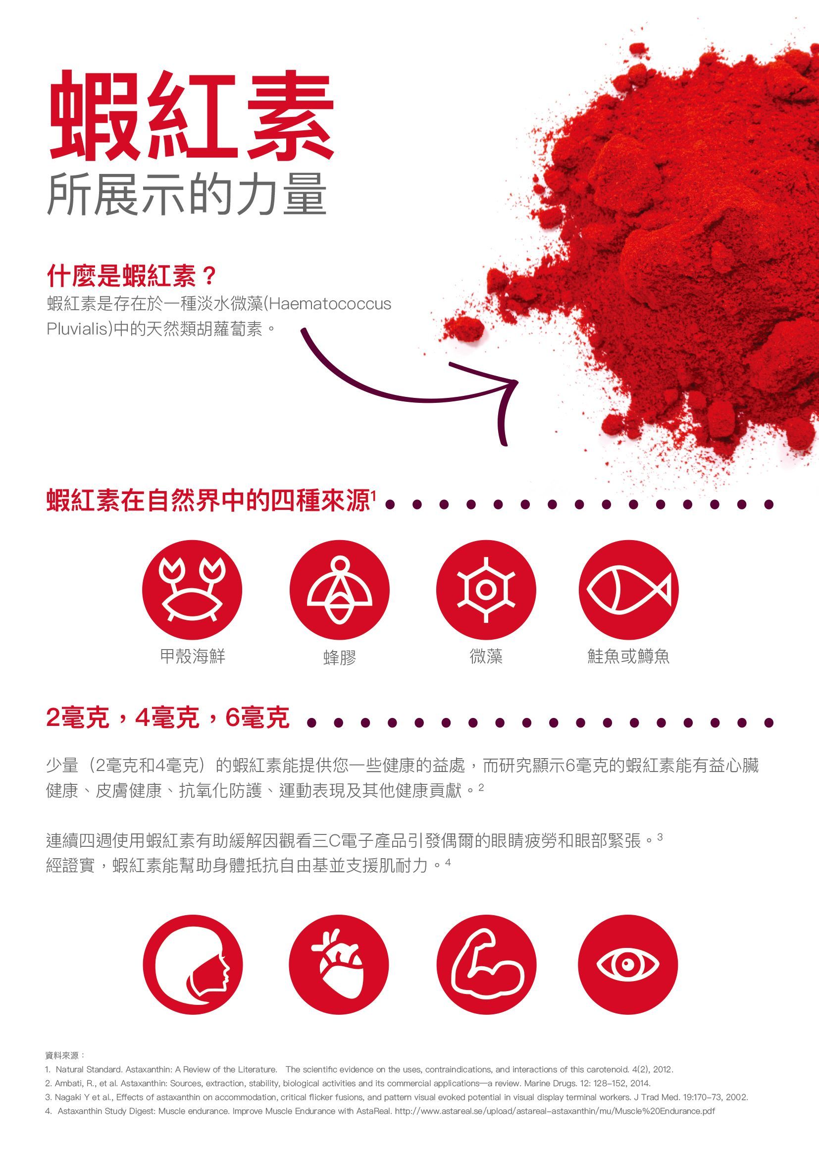 美安DM117 - 蝦紅素所展示的力量-廣告單頁-100張