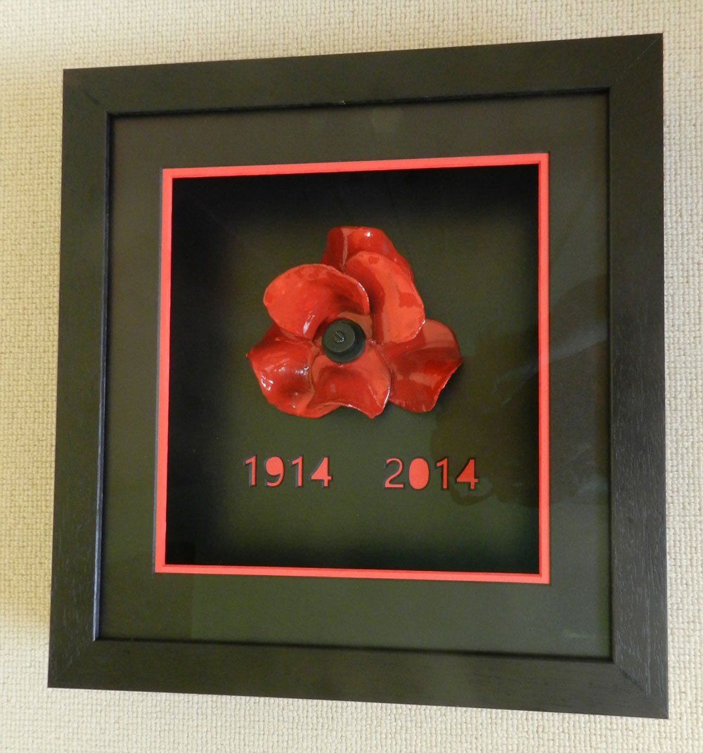 3D poppy Framed