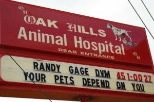 Animal Hospital Address — Cincinnati, OH — Oak Hills Animal Hospital