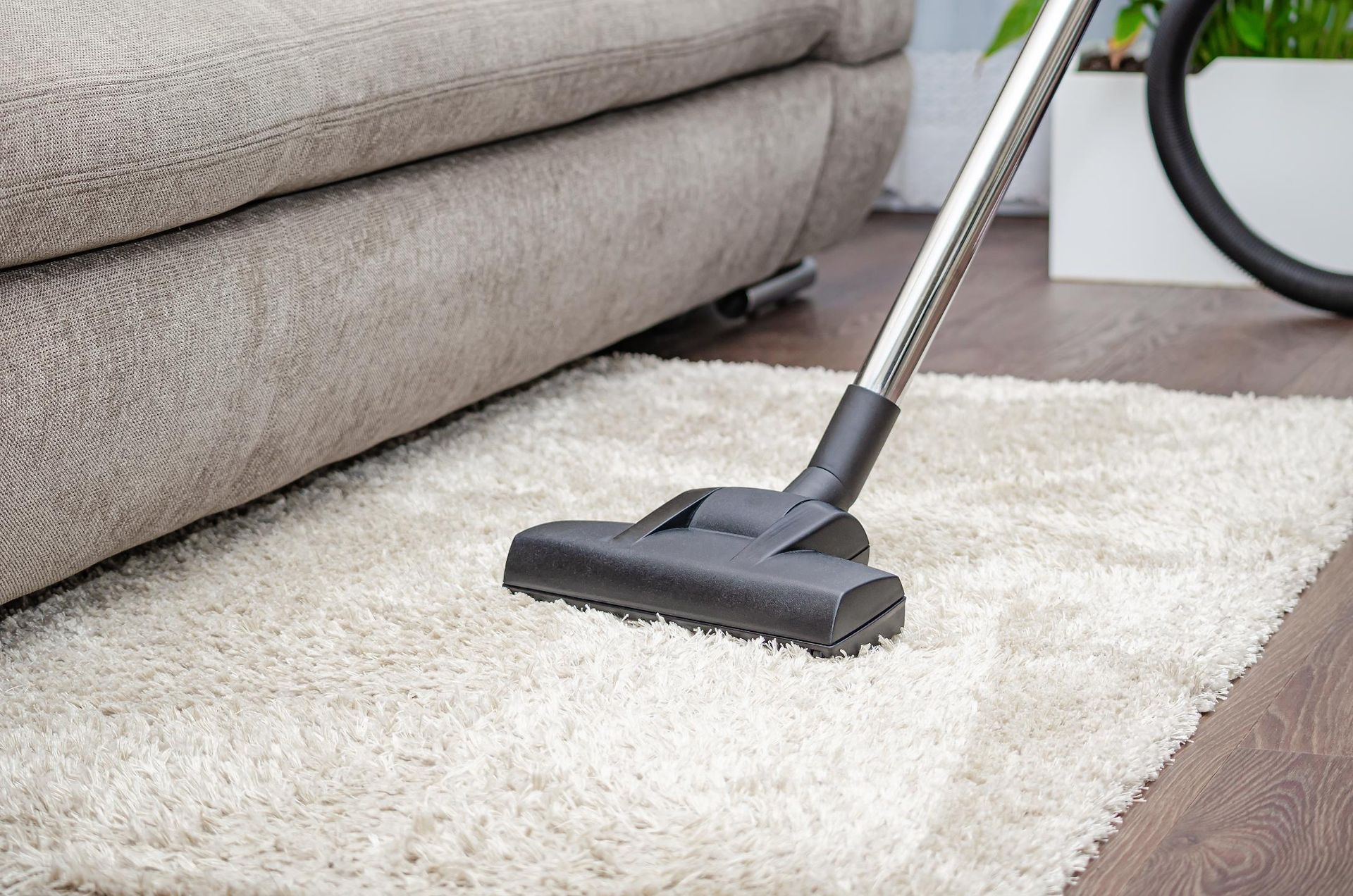 A vacuum cleaner is cleaning a white rug in a living room.