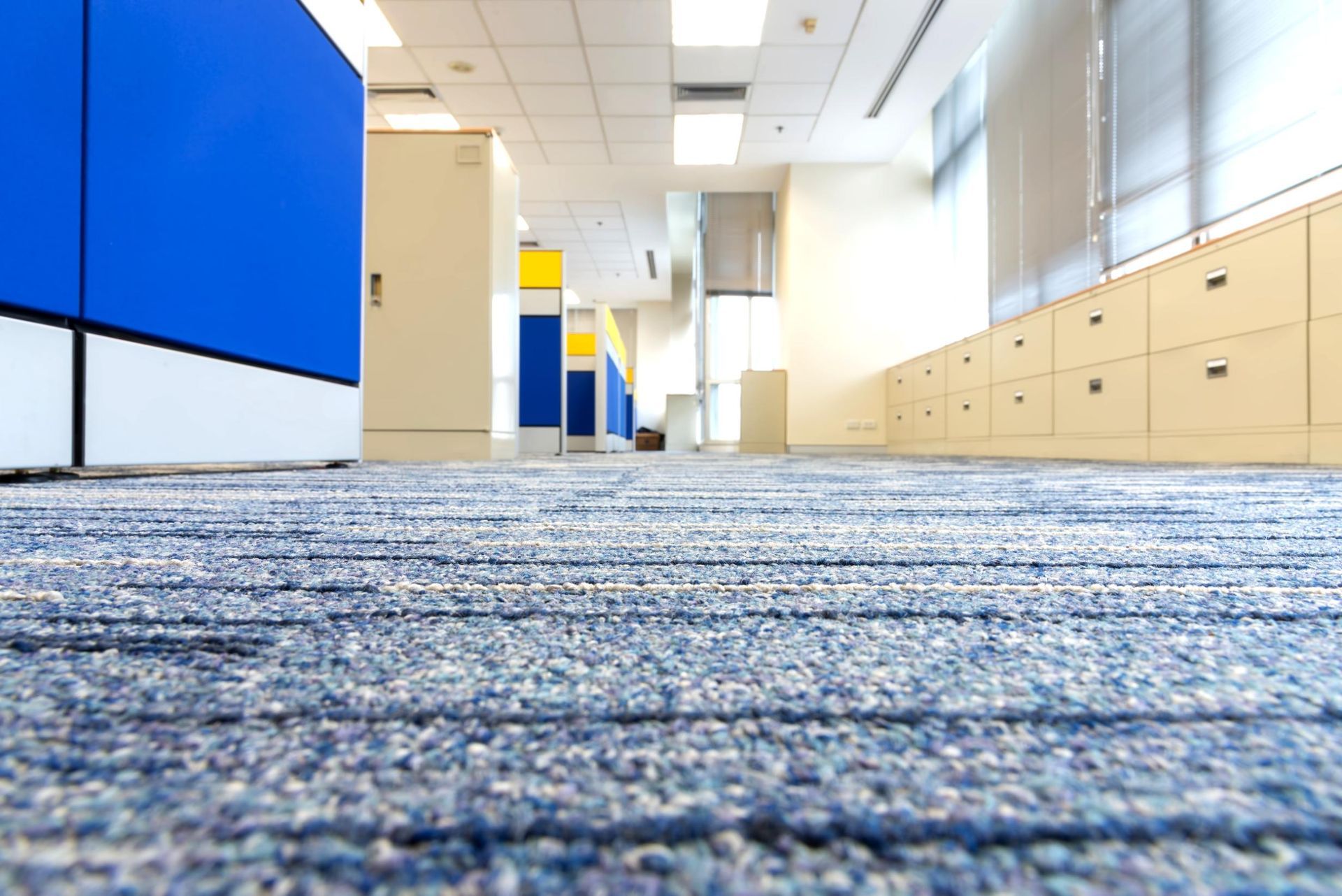 A blue carpeted floor in an office with blue cubicles.